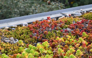 the cost of Bridge Of Craigisla green roof installation
