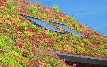 Bridge Of Craigisla living roof systems