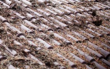 Bridge Of Craigisla roof cleaning companies