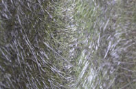 Bridge Of Craigisla fibreglass roof work